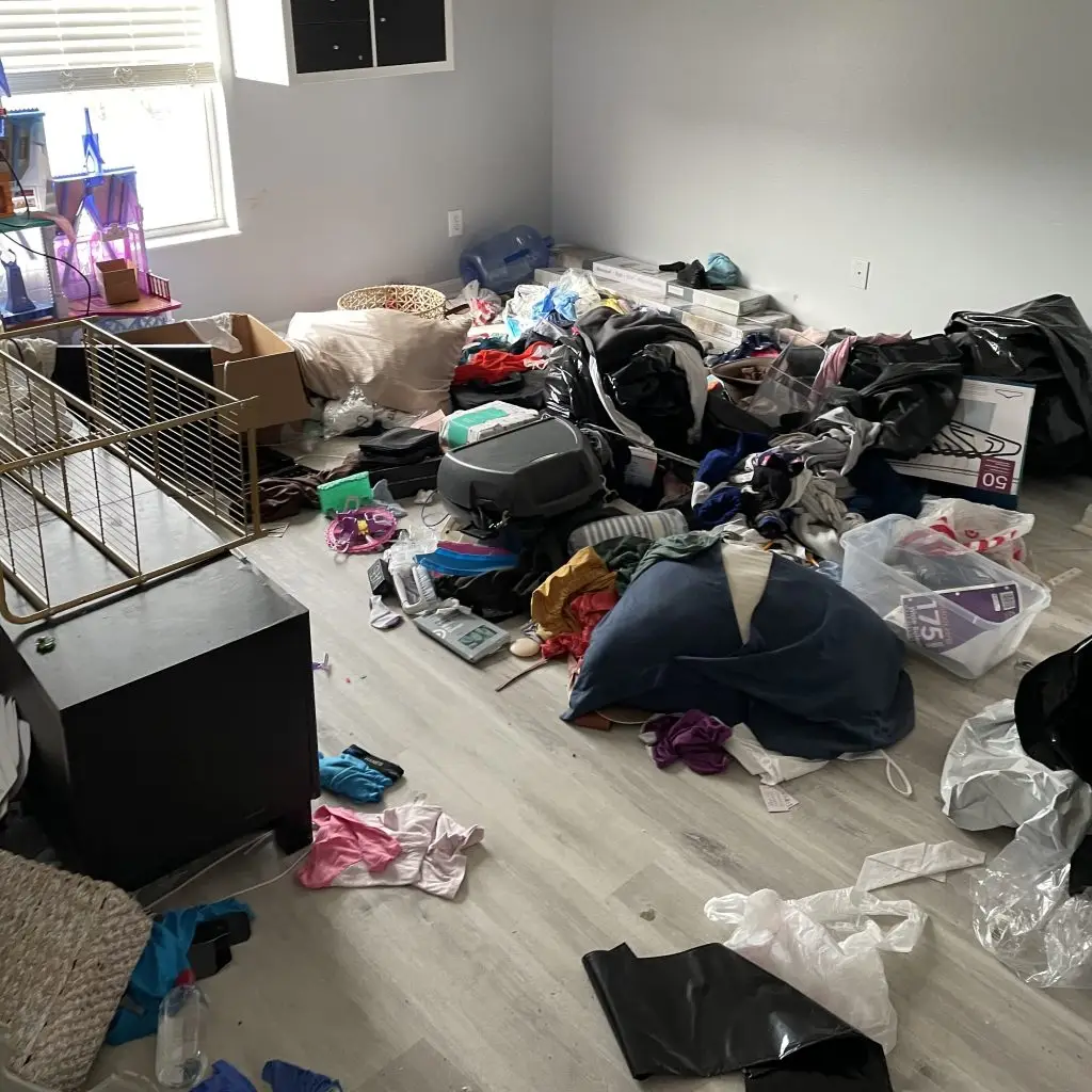 Hoarder Cleanout